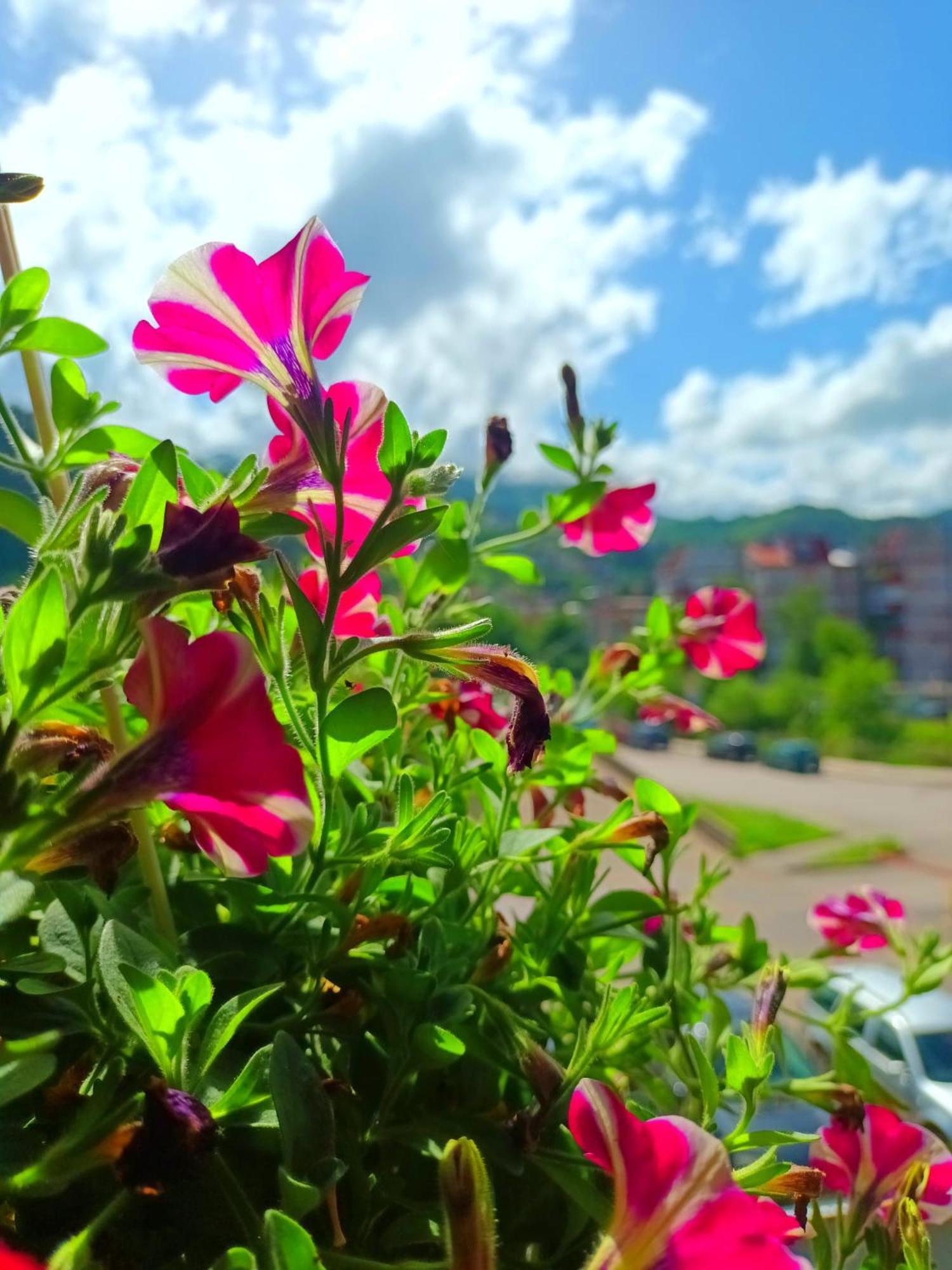 Spacious And Modern Apartment In Town Center Konjic Kültér fotó